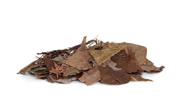 最好的中药减肥方法