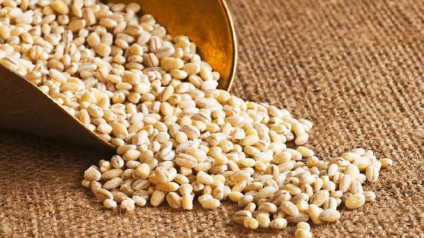 大麦若叶怎么喝减肥