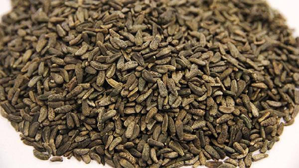 牛蒡茶可以减肥吗