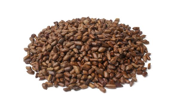 决明子有减肥功效吗