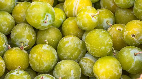 青梅减肥有效果吗