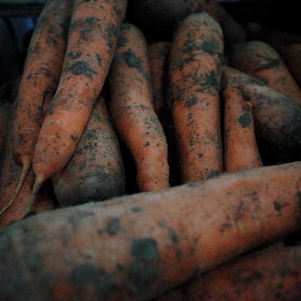 适合减肥吃的蔬菜有什么