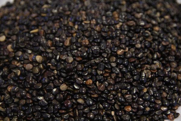 酒石酸唑吡坦片是一种短期失眠药物吗