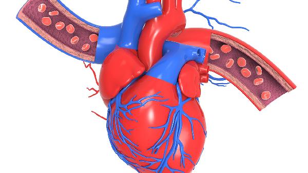 血管紧张素2高什么原因
