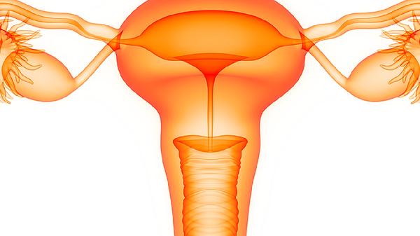 女性应该怎样预防宫颈癌