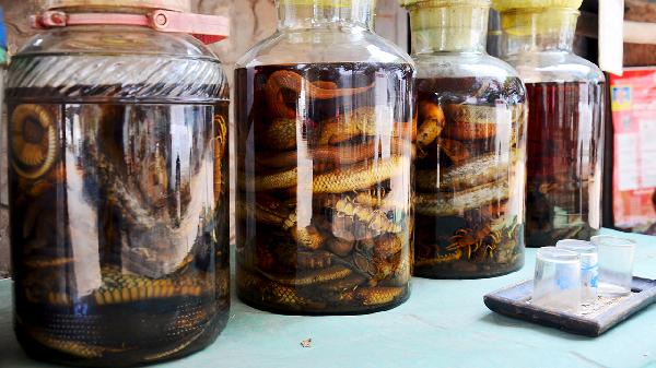 壮骨药酒的功效是什么