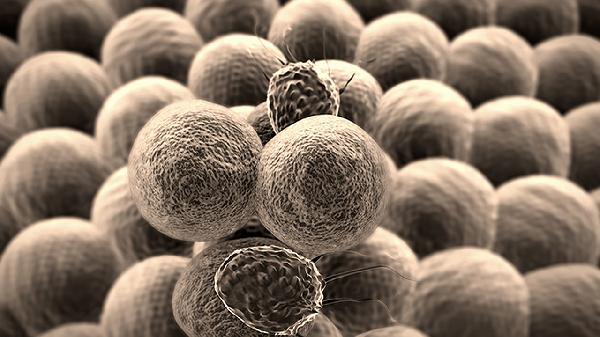 神经元病的治疗