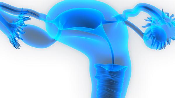 得了宫颈癌会怀孕吗