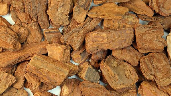 沉香舒气丸的禁忌是什么