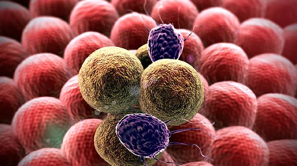 运动神经元受损如何治疗