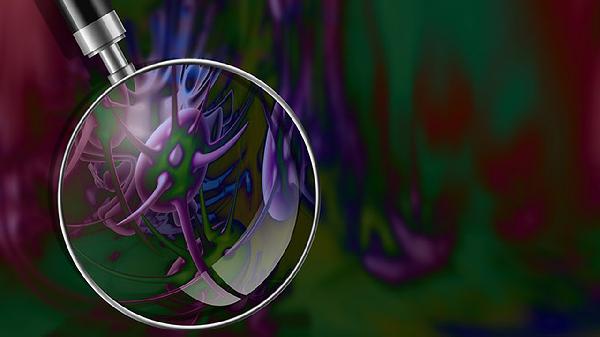 胃神经官能症吃什么药能治好