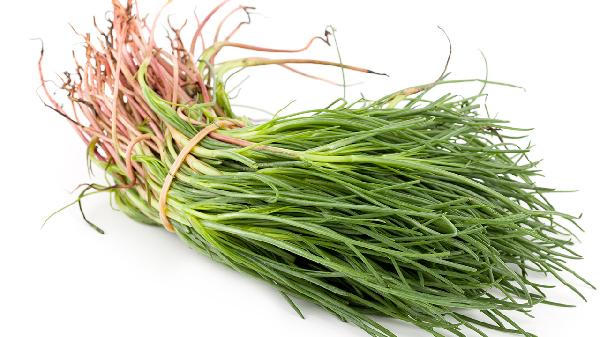 植物精神紊乱的症状