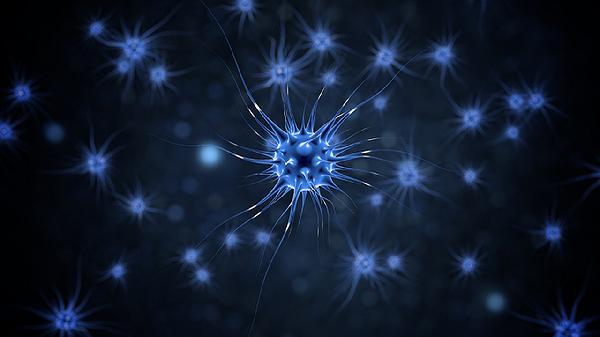 股外侧皮神经炎的症状有哪些