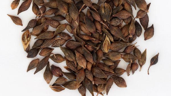 连翘败毒片使用时需要注意什么