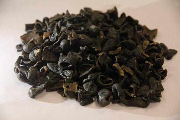 曲匹布通片是中药还是西药