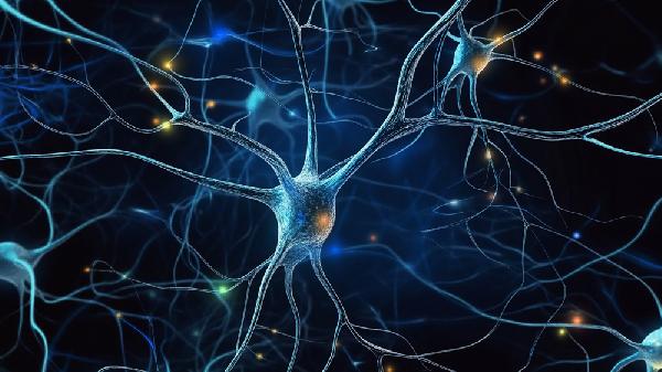 植物神经紊乱和焦虑症一样吗