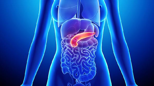 胰酶肠溶片是治疗什么的