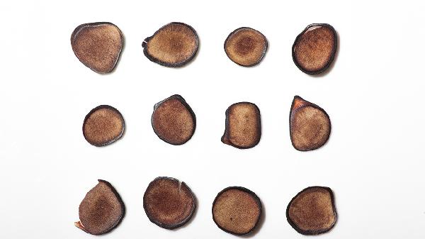 参桂鹿茸丸的禁忌是什么