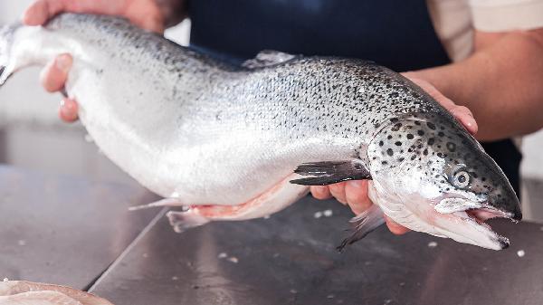 鲑鱼降钙素喷鼻剂的功效是什么