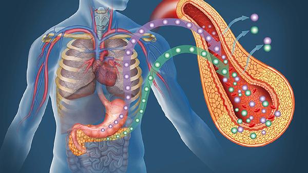 清胰利胆片的功效与作用