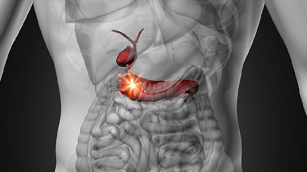 清胰利胆片的作用是什么