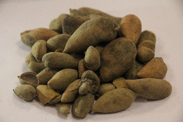 谷胱甘肽含片是中药还是西药