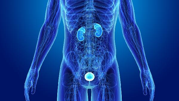 龟鹿补肾片治什么病