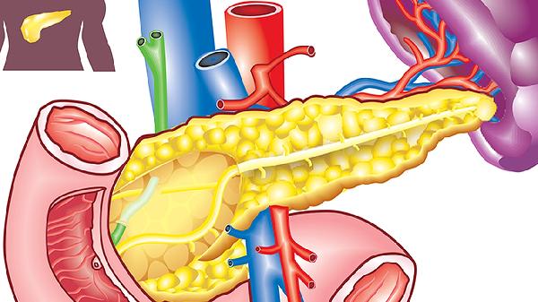 胰胆炎合剂的作用是什么