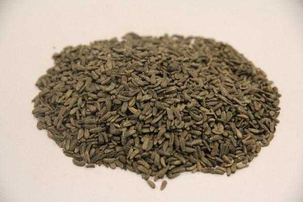 养阴清肺膏是中药还是西药