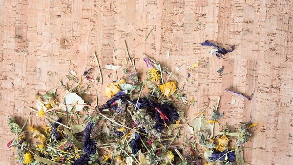 金菊五花茶颗粒注意事项有哪些