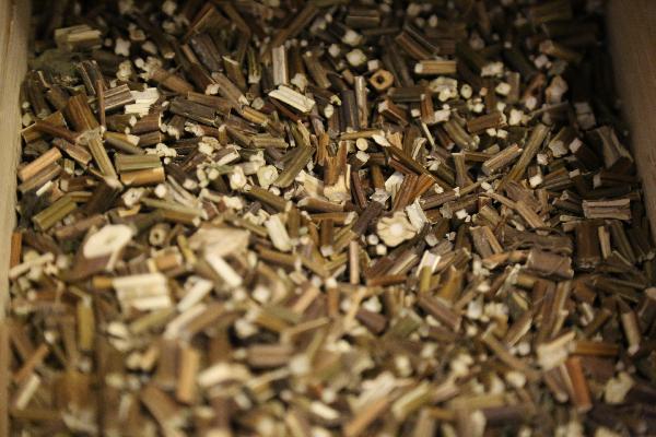 灯盏花素片是中药还是西药