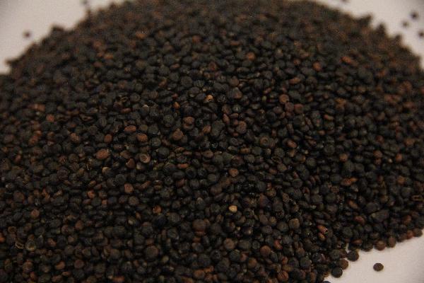 汉桃叶片是中药还是西药