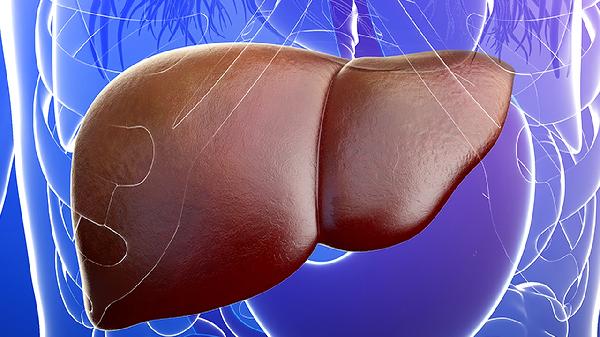 舒肝止痛丸主治什么疾病