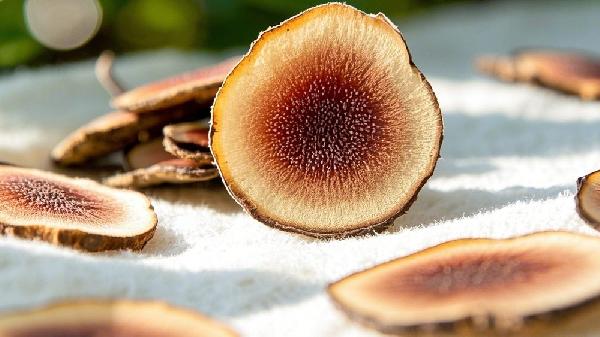 参桂鹿茸丸主要治什么病