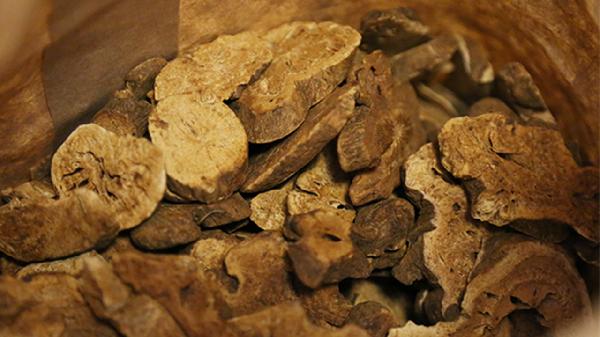 非洛地平缓释片是中药还是西药