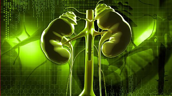 温肾全鹿丸治疗什么病