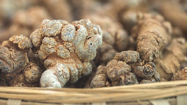 参三七伤药胶囊主治什么疾病