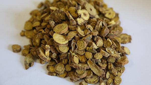 复方黄芩片主治什么疾病