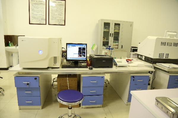 呼吸道感染做化验检查常用标本类型