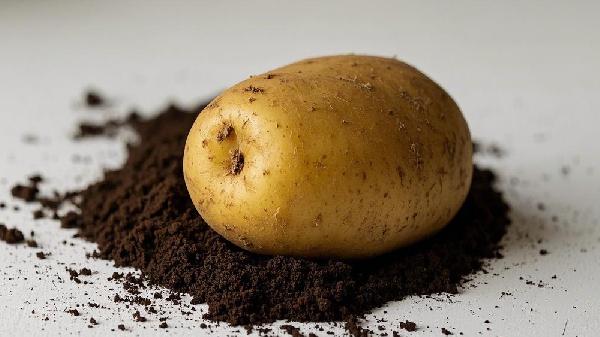 玉米土豆、红薯南瓜 他们谁升血糖更快，这些糖友能吃吗？