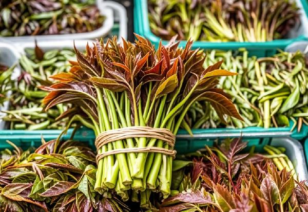 香椿这东西别乱吃！小心吃出大问题