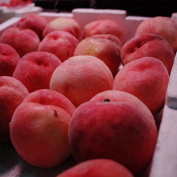 水果当晚餐真实测评！这5种真的能让你悄悄变瘦