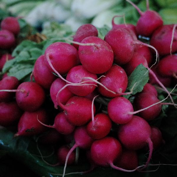 抗癌之王硒元素 居然藏在最便宜的白菜萝卜里？