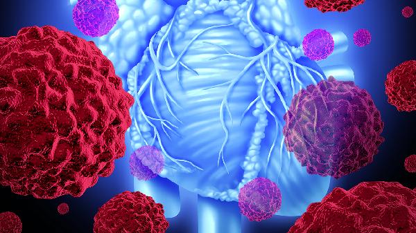 hiv病毒载体和hiv检查有区别吗