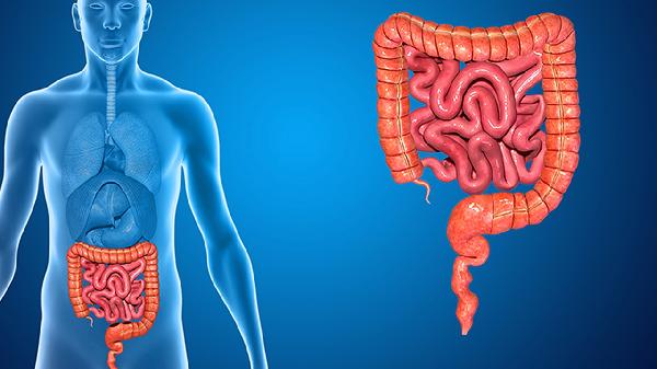 小肠增强ct能检查出什么病