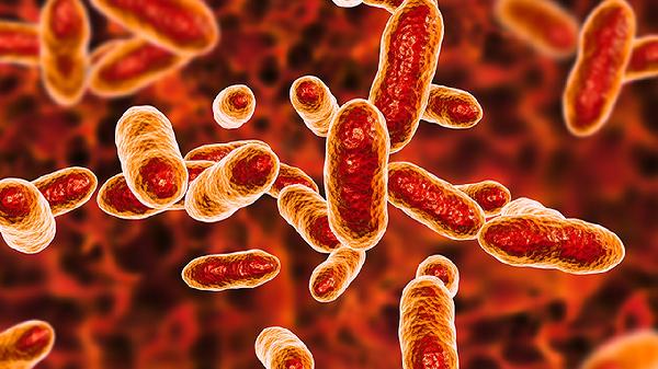 病毒全项检查都包括什么