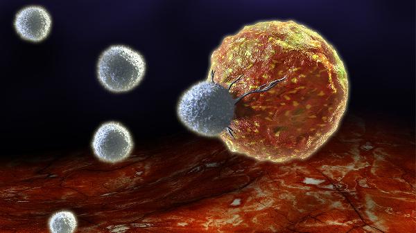 龟头细菌感染的症状