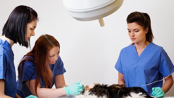 哺乳期也能瘦！医生分享4个不饿肚子的减肥妙招