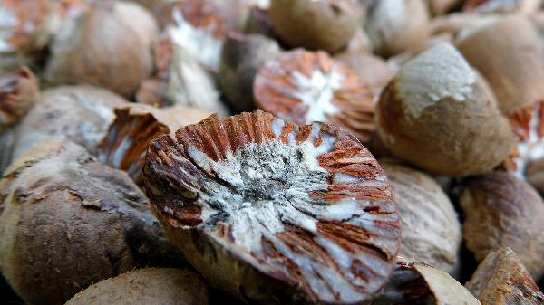 难怪瘦不下来！这5种伪健康食物你可能天天在吃