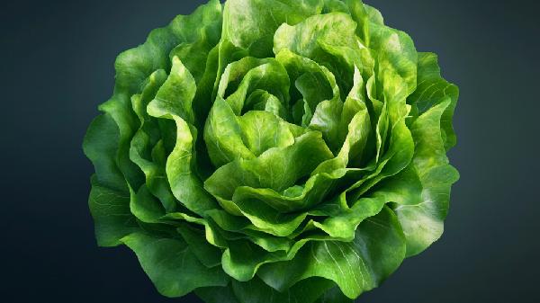 天天吃蚝油生菜能减重？听听营养师怎么说